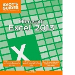 Microsoft Excel 2013