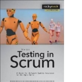 Testing in Scrum