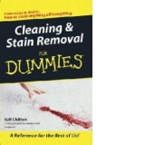 Cleaning and Stain Removal For Dummies