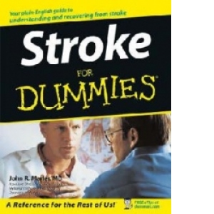 Strokes For Dummies