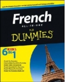 French All-in-one For Dummies