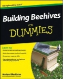 Building Beehives For Dummies