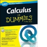 Calculus: 1,001 Practice Problems For Dummies (+ Free Online