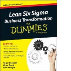 Lean Six Sigma Business Transformation For Dummies