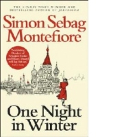 One Night in Winter