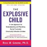 Explosive Child