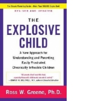 Explosive Child