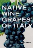Native Wine Grapes of Italy