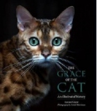 Grace of the Cat