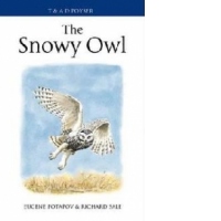 Snowy Owl