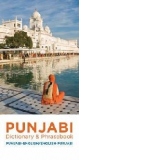 Punjabi-English / English-Punjabi Dictionary & Phrasebook