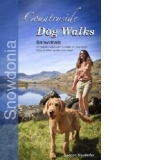 Countryside Dog Walks - Snowdonia