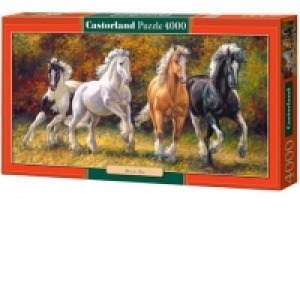 Puzzle 4000 piese Born to Run 400119