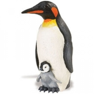 Pinguin imperial cu pui