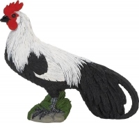 Cocos Phoenix