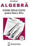 Algebra - exercitii si probleme pentru clasa a XI-a