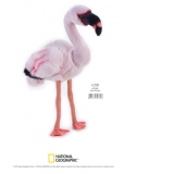 Jucarie Plus Venturelli - National Geographic Flamingo 45 Cm - AV770760