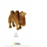 Jucarie Plus Venturelli - National Geographic Camila Bactriana - AV770776