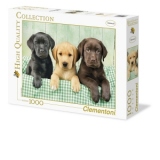 Puzzle 1000 piese HQ - Three Labs - Clementoni - 39279
