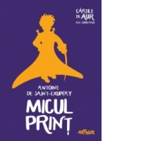 Micul Print