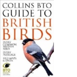 Collins BTO Guide to British Birds