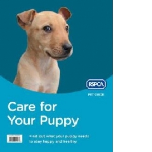Care for Your Puppy