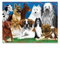 Puzzle 200 piese Prieteni cu blanita
