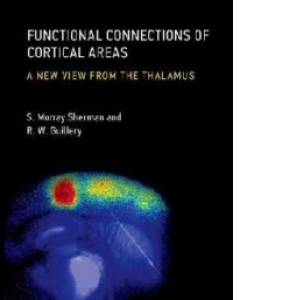 Functional Connections of Cortical Areas
