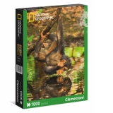 Puzzle 1000 Piese National Geographic - Chimpanzee - 39301