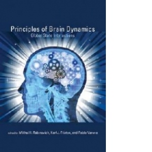 Principles of Brain Dynamics