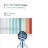 Encultured Brain