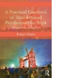 Practical Casebook of Time-limited Psychoanalytic Work