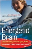 Energetic Brain