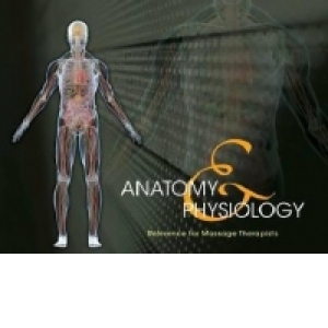 Anatomy & Physiology Reference For Massage Therapists