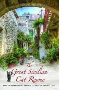 Great Sicilian Cat Rescue