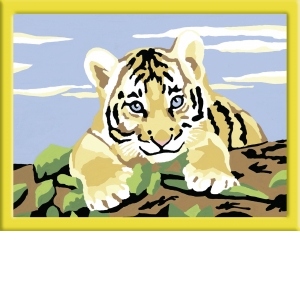 Pictura Pe Numere Pui de Tigru