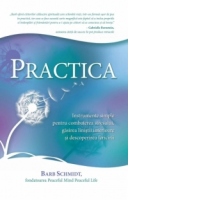 Practica - Instrumente simple pentru combaterea stresului, gasirea linistii interioare si descoperirea fericirii