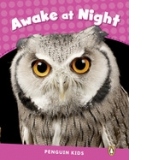 Penguin Kids 2: Awake at Night CLIL