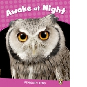 Penguin Kids 2: Awake at Night CLIL