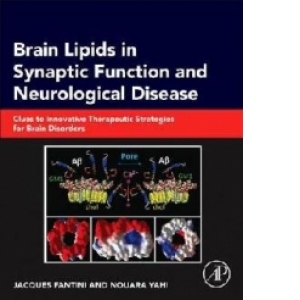Brain Lipids in Synaptic Function and Neurological Disease