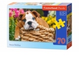 Puzzle 70 piese Bulldog Dragut 7134
