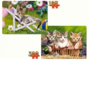 Puzzle 2 in 1 Kittens in the garden 21116