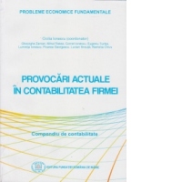 Provocari actuale in contabilitatea firmei. Compendiu de contabilitate