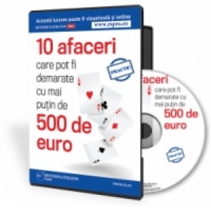 10 afaceri care pot fi demarate cu mai putin de 500 de euro (CD)