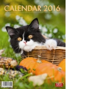 Calendar Pisici 2016
