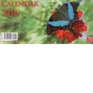 Calendar de birou Fluturi 2016