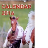 Calendar Cai 2016