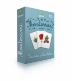 Carti de joc Montessori. Vocabular. Lumea plantelor