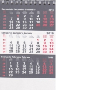 Calendar triptic de birou 2016 miniclasic gri 6 file, 10.5x14 cm