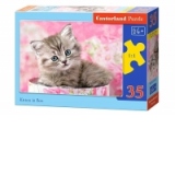 Puzzle 35 piese Kitten in Box 35212